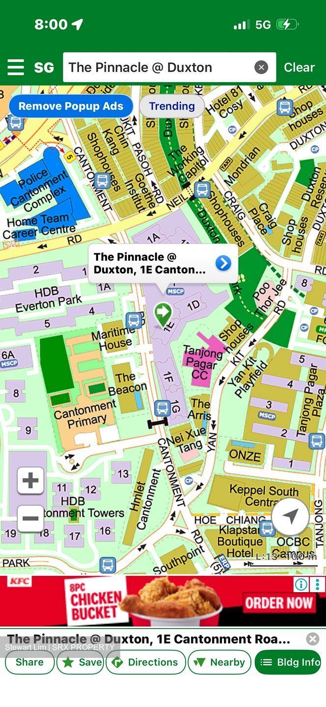 Blk 1E The Pinnacle@Duxton (Bukit Merah), HDB 4 Rooms #590238741